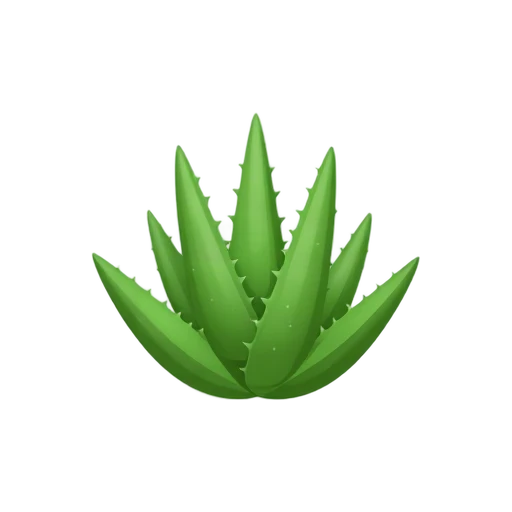 Aloe Vera with thick spiky green leaves and pale white speckles