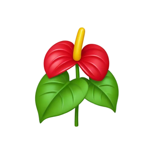 Anthurium with glossy red heart-shaped spathe and short yellow upright spadix