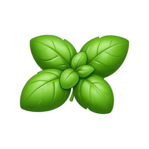 Basil sprig with broad bright green leaves