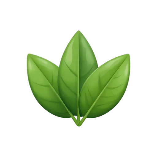 Glossy olive-green bay leaves with pointed tips