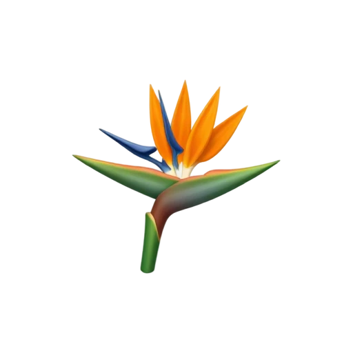 Bird of Paradise Flower with orange upright petal fans and blue horizontal tongue petals