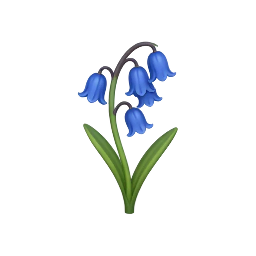 Bluebell with several drooping blue bell blooms and curved green stalk