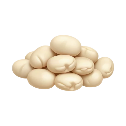 Creamy white cannellini beans with curved oblong shapes