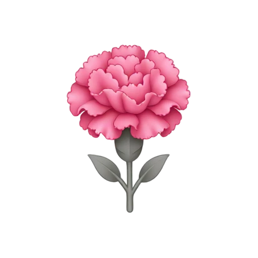 Carnation with frilled pink petal edges and dense ruffled round flower head