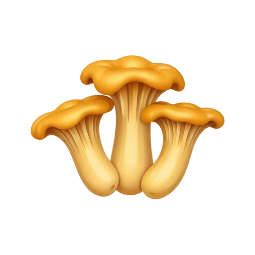 Golden chanterelle mushrooms with wavy caps and pale ridges