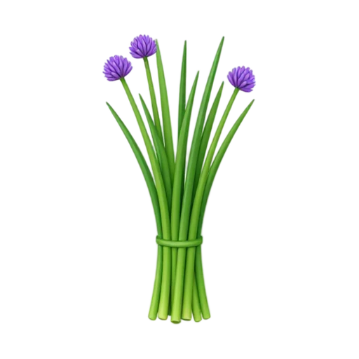 Fresh chive stalks tied in a bunch with purple flower heads
