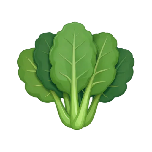 Collard greens with broad flat leaves and pale central ribs