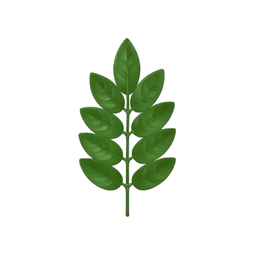 Fresh curry leaves on a slender stem