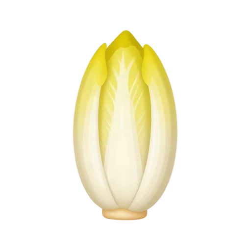 Pale cream endive head with yellow tips and layered leaves
