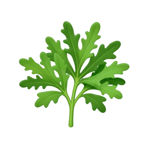 Epazote herb sprig with elongated toothed leaves