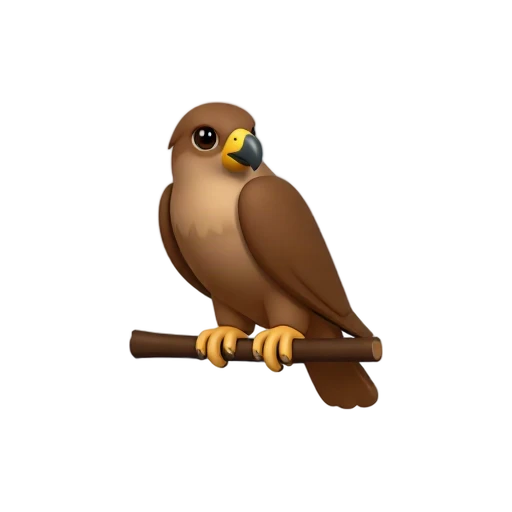 One brown falcon perched on a short plain branch, hooked beak, folded wings, no leaves, shadow, or scenery.