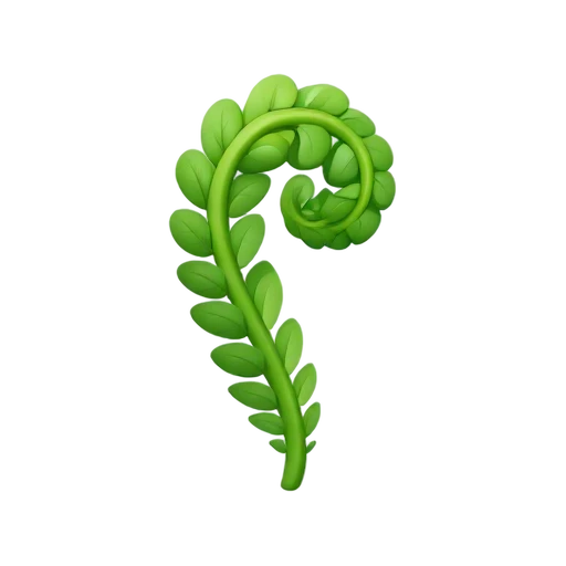 One curled green fern frond with small leaflets, no ground, shadow, or scenery.