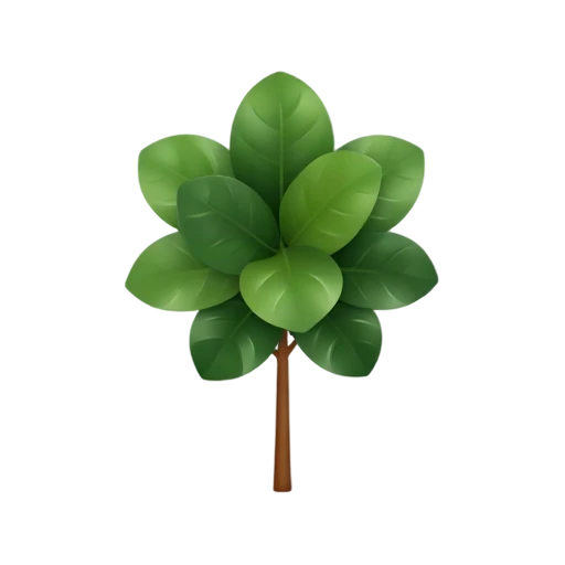 Fiddle-Leaf Fig with large violin-shaped leaves and upright slender trunk