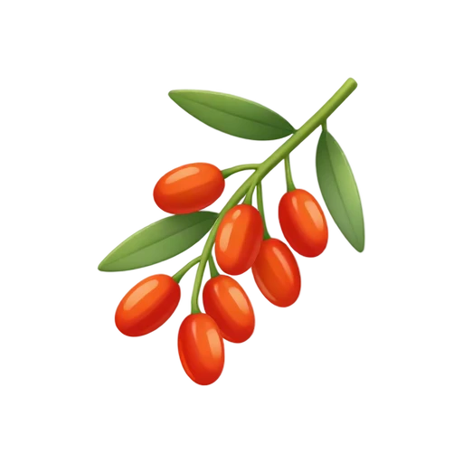 Orange-red goji berries attached to a thin green branch
