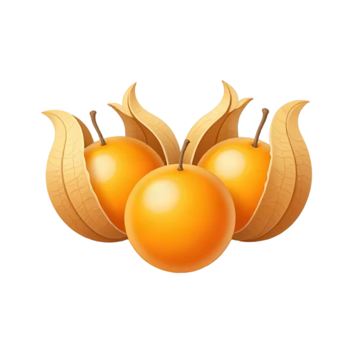 Golden berries inside pale tan papery husks