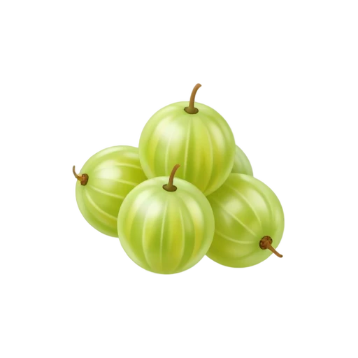 Pale green gooseberries with translucent veined skin
