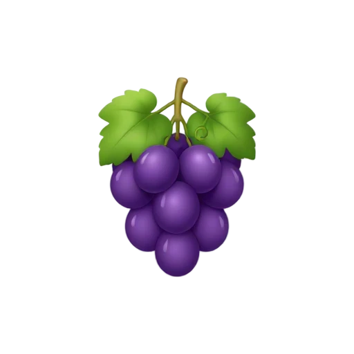 Grape Vine with cluster of purple grapes and broad lobed vine leaves