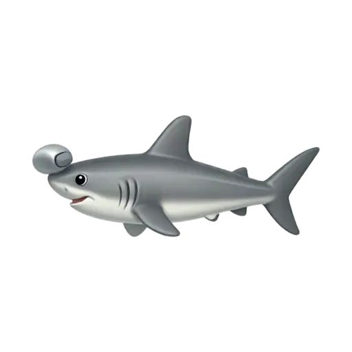 Gray hammerhead shark swimming