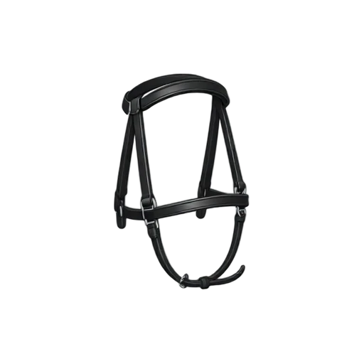 Horse bridle and reins emoji
