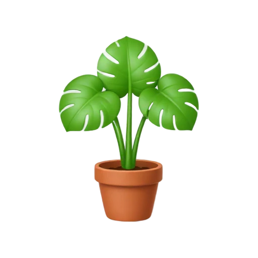 One lush green monstera houseplant with three large split leaves in a simple terracotta pot, clean upright composition, no table, room, ground, shadow, or scenery.