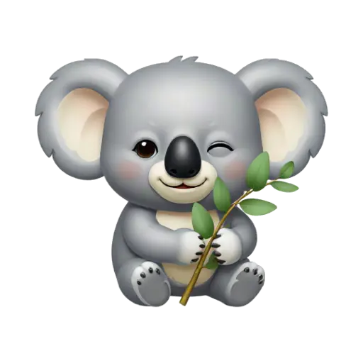 Gray koala hugging a short eucalyptus branch