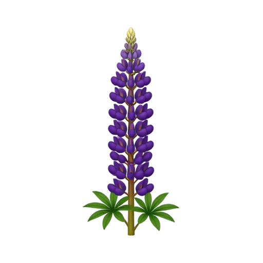 Lupine with dense tall purple flower tower and small pea-shaped blooms