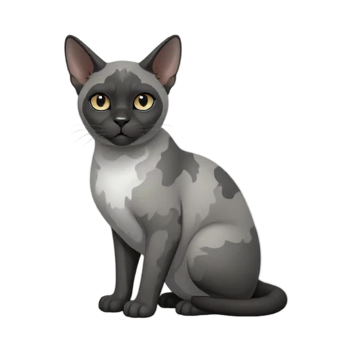 Lykoi cat with roan charcoal-and-silver coat and sparse facial fur
