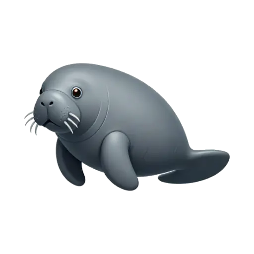 Gentle gray manatee floating
