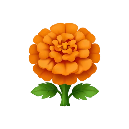 Marigold with dense orange pom-pom bloom and ruffled compact petals