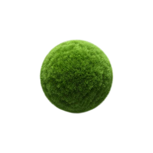 Marimo Moss Ball with single round dark-green fuzzy sphere and fine velvety moss texture