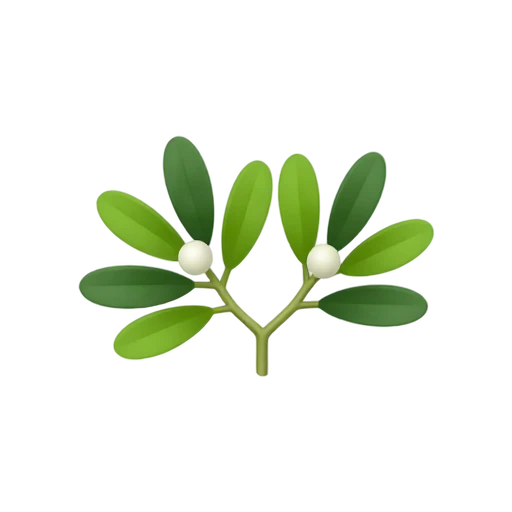 Mistletoe with opposite oval green leaves and small white berries