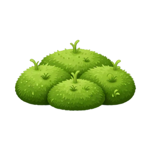 Moss Mound with soft velvety green hummock and tiny upright moss fronds