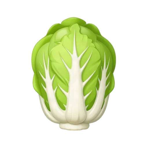 Napa cabbage head with crinkled green leaves and white ribs
