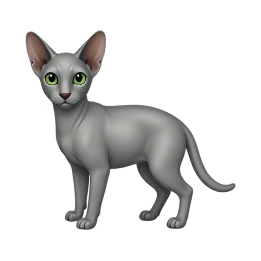 Slender Oriental Shorthair cat with huge ears and green eyes