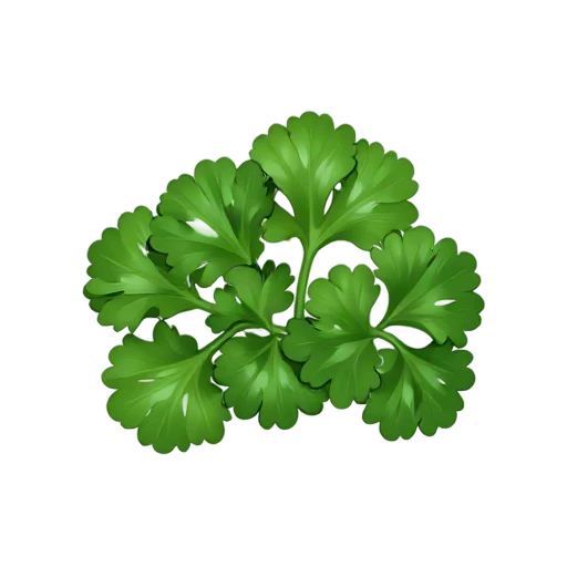 Curly parsley bunch with dense ruffled leaves