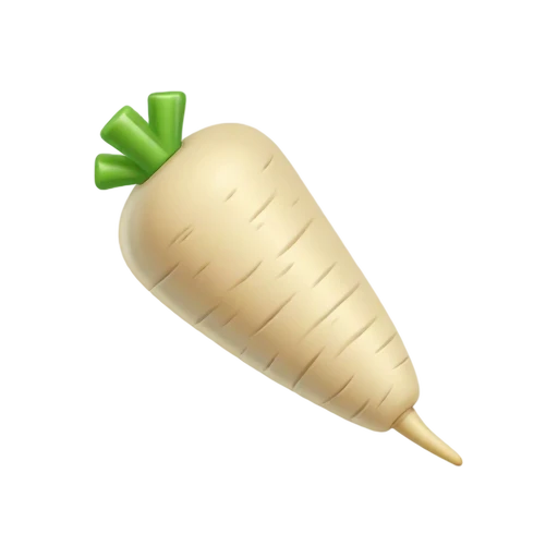 Cream parsnip with broad top and fine tapered root