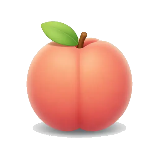 One ripe fuzzy peach, warm orange-pink skin, visible center crease, small green leaf and short stem, no background.