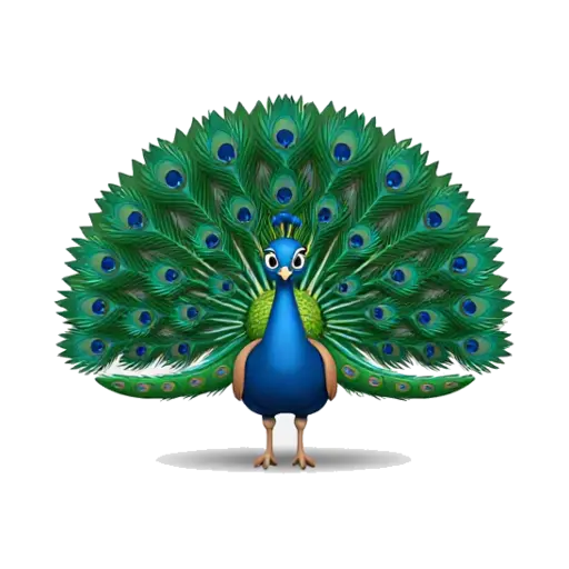 Peacock with a vivid blue neck and open feather fan