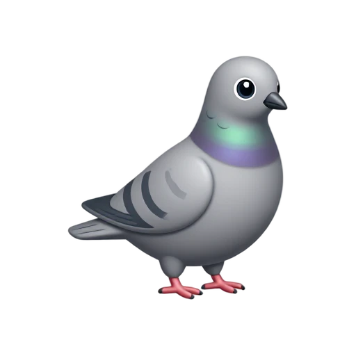 Gray pigeon with iridescent neck feathers, two black wing bars, and pink feet