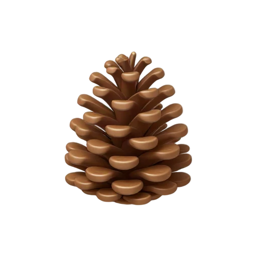 One detailed brown pinecone standing upright, compact symmetrical scales, no branch, shadow, or scenery.