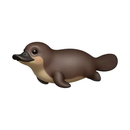 Brown platypus swimming