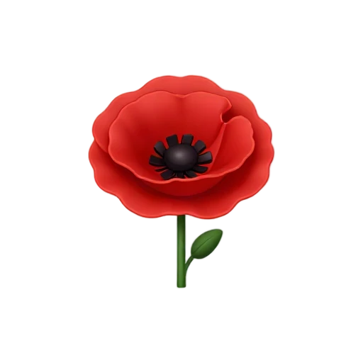 Poppy Flower with four thin scarlet petals and dark nearly black central disk