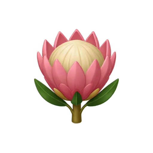 Protea with large pink pointed outer bracts and fuzzy cream central dome