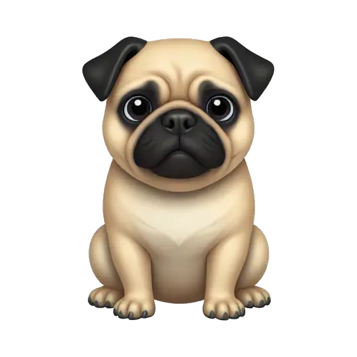 Fawn pug sitting with black muzzle