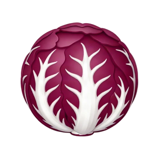 Round purple-red radicchio with white leaf veins