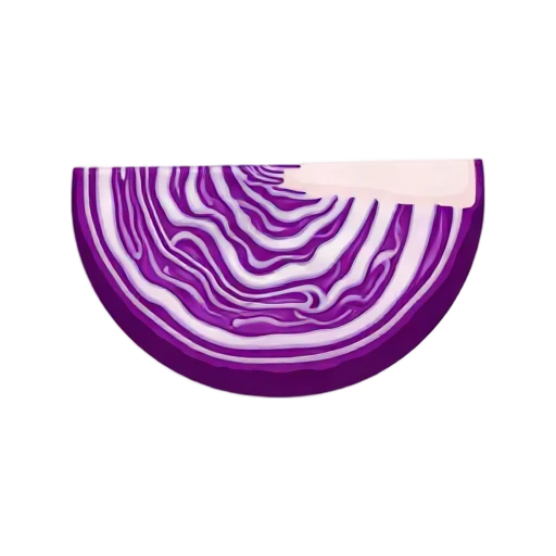 Red cabbage wedge with vivid purple and white leaf layers