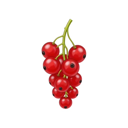 Bright red currant berries on a delicate green sprig