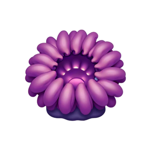 Purple sea anemone with tentacles rising around its central disc