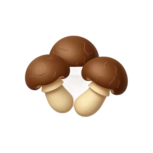 Brown shiitake mushroom caps with pale gills and stems