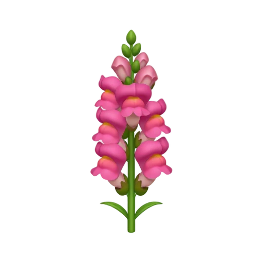 Snapdragon with stack of pink two-lipped blooms and tall upright flowering stalk